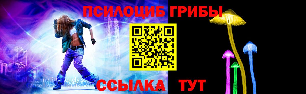 Королёв  Галлюциногенные грибы Magic Shrooms  Вход с VPN  Галлюциногенные грибы Magic Shrooms 